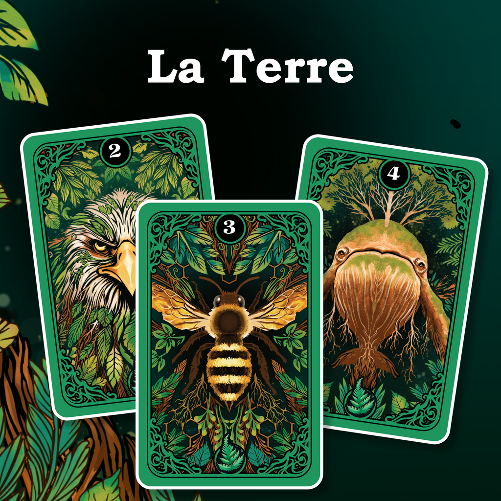 Vue des cartes "La Terre" du jeu de société Combo de Topi Games