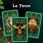 Vue des cartes "La Terre" du jeu de société Combo de Topi Games