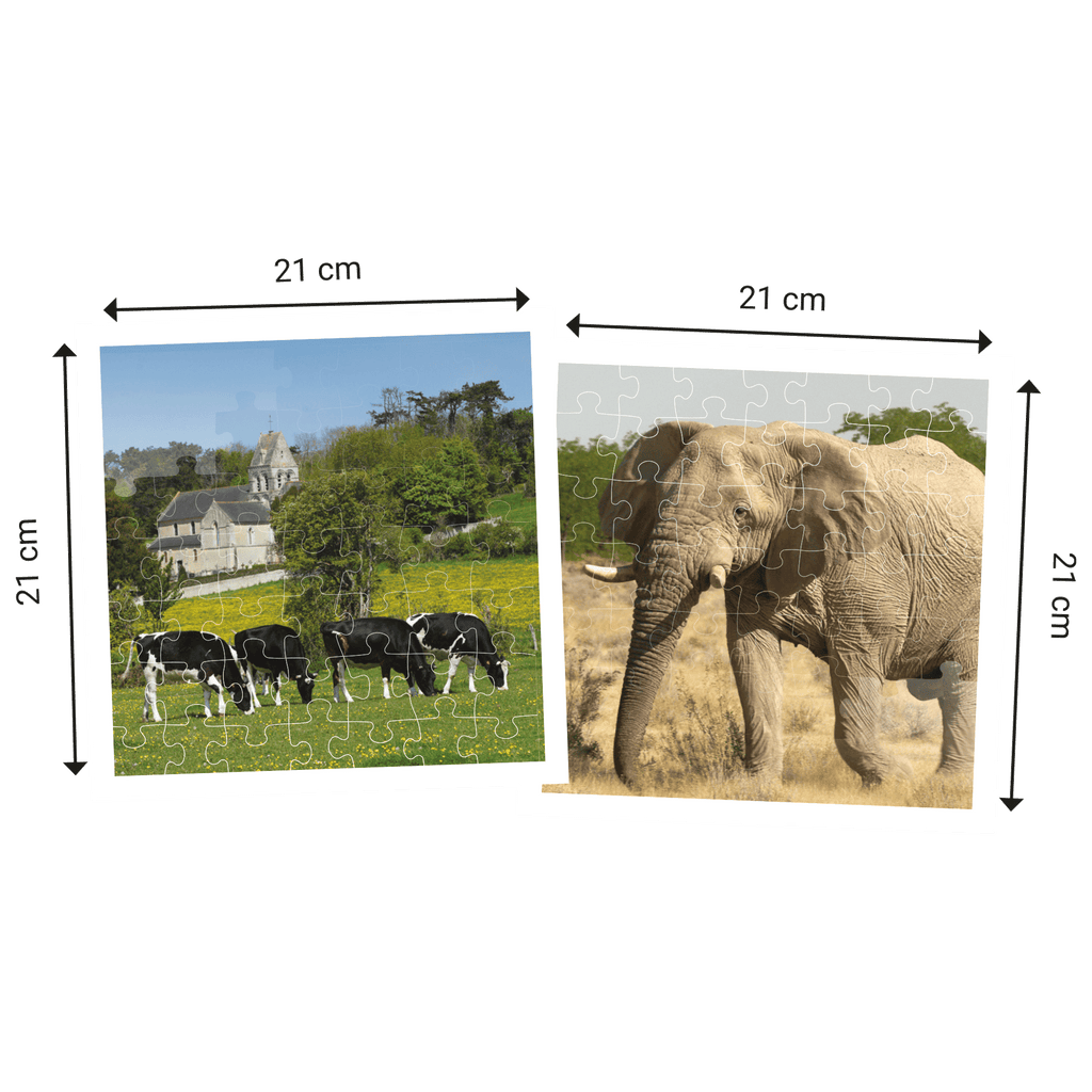 Dimensions des Puzzles 2X49 pièces Echappées Belles - Animaux