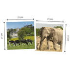 Dimensions des Puzzles 2X49 pièces Echappées Belles - Animaux