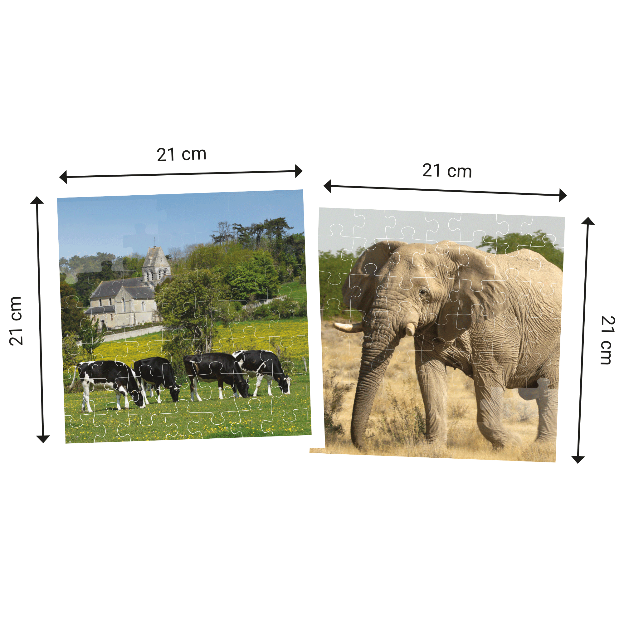 Dimensions des Puzzles 2X49 pièces Echappées Belles - Animaux