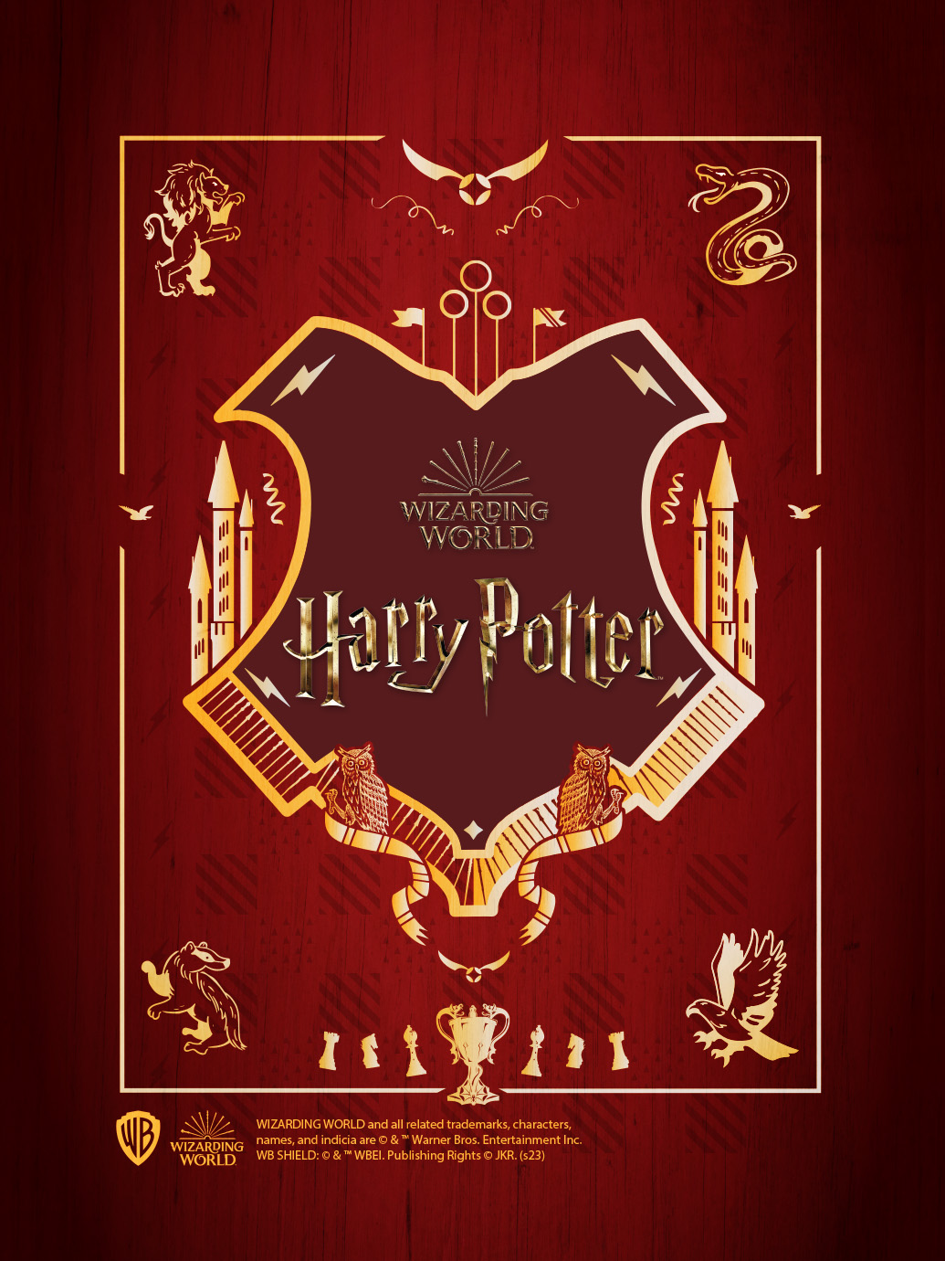 Affiche du jeu Harry Potter Wizarding World 2